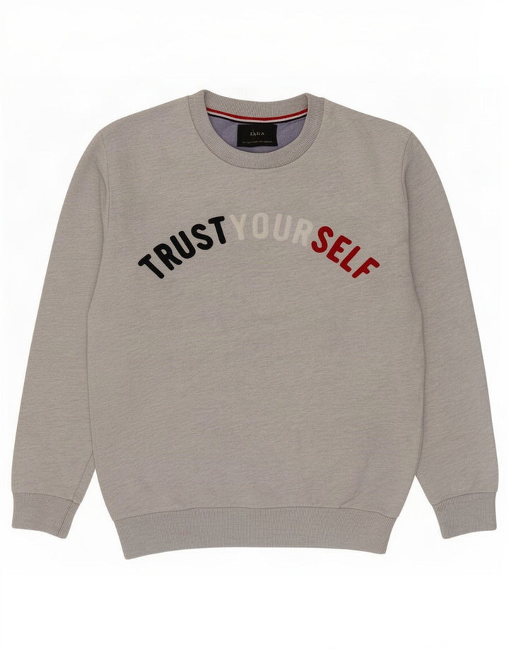 Męska bluza z grafiką Zara, mała, szara