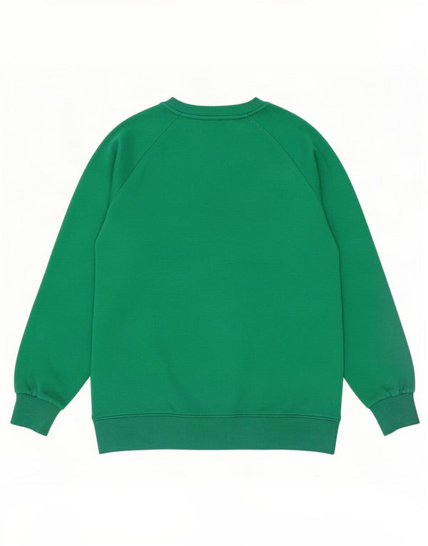 Męska bluza z grafiką Tommy Hilfiger, mała, zielona bawełna