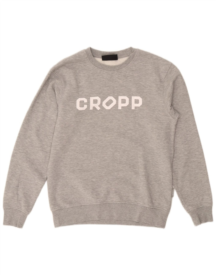 Męska bluza Cropp z grafiką o regularnym kroju, mała, szara bawełna