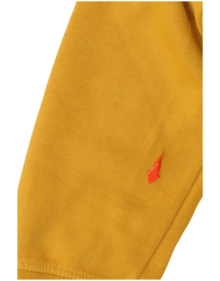 Męski sweter z kapturem i grafiką CHAMPION, mały, żółty, bawełniany