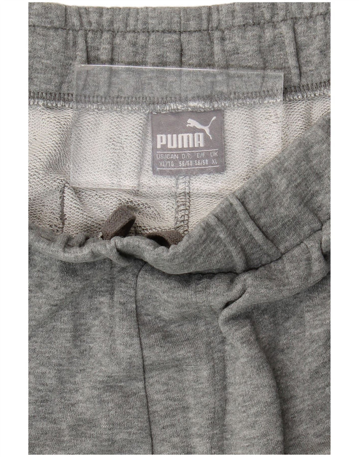 Męskie spodenki sportowe Puma Graphic XL w kolorze szarym