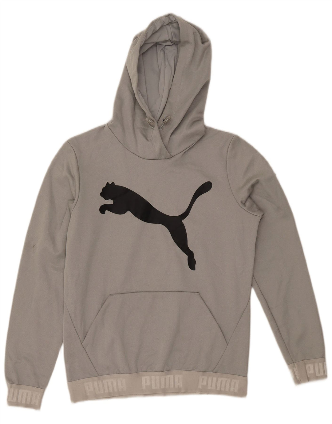 Damski sweter z kapturem i grafiką PUMA UK 12, średni szary poliester
