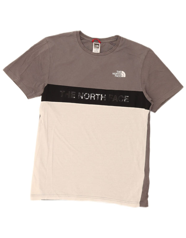 Męski T-shirt z regularną grafiką The North Face, mały, szary, blok kolorów