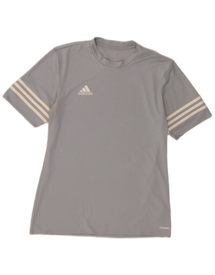 Męski T-shirt ADIDAS Climalite Top, średnioszary, poliester