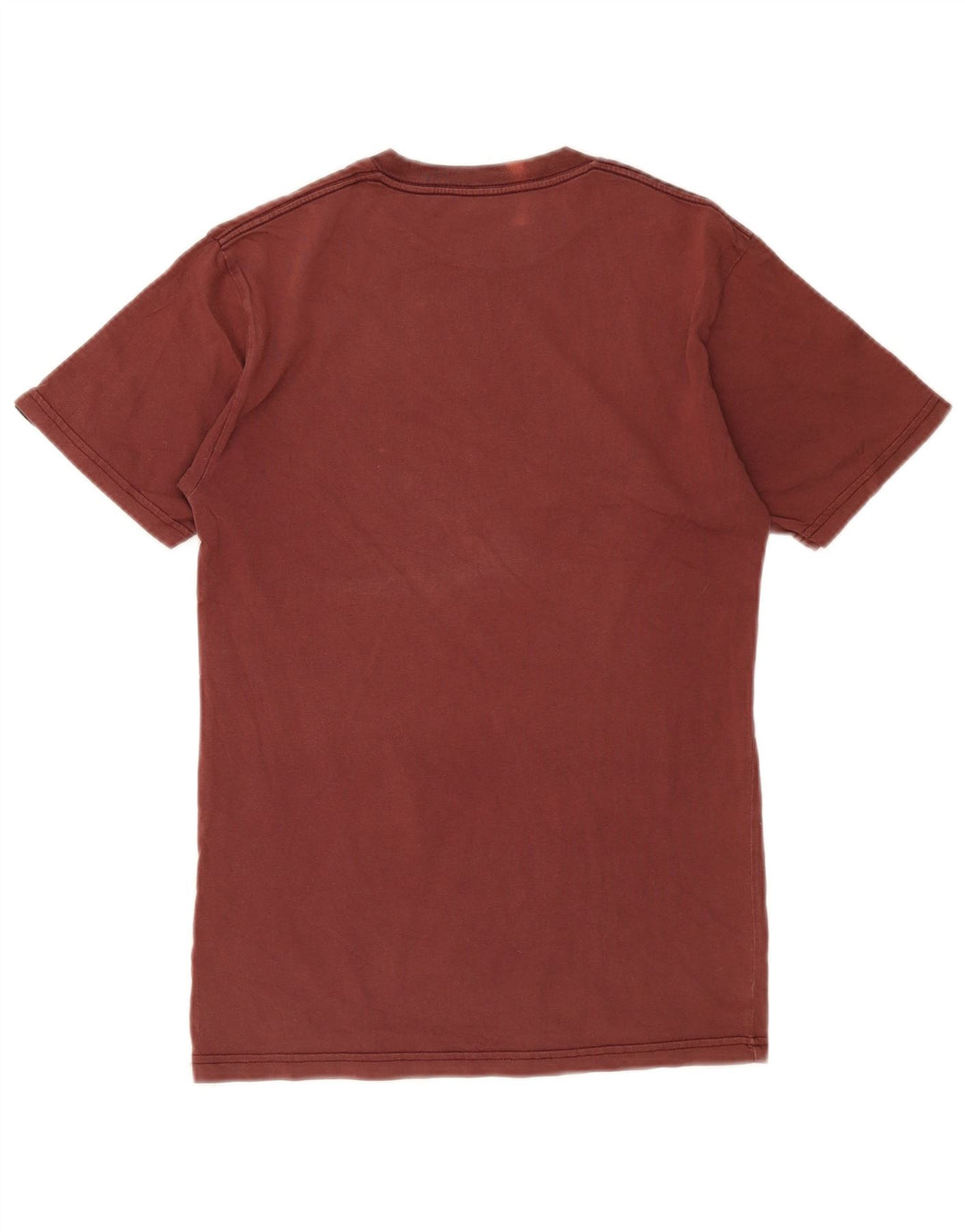 Męski T-shirt Vans o klasycznym kroju z grafiką, mały, brązowy, bawełniany