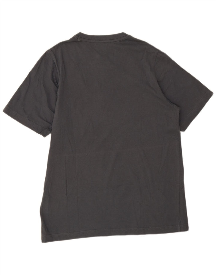 Męski T-shirt z grafiką Kappa, mały, szary, bawełniany
