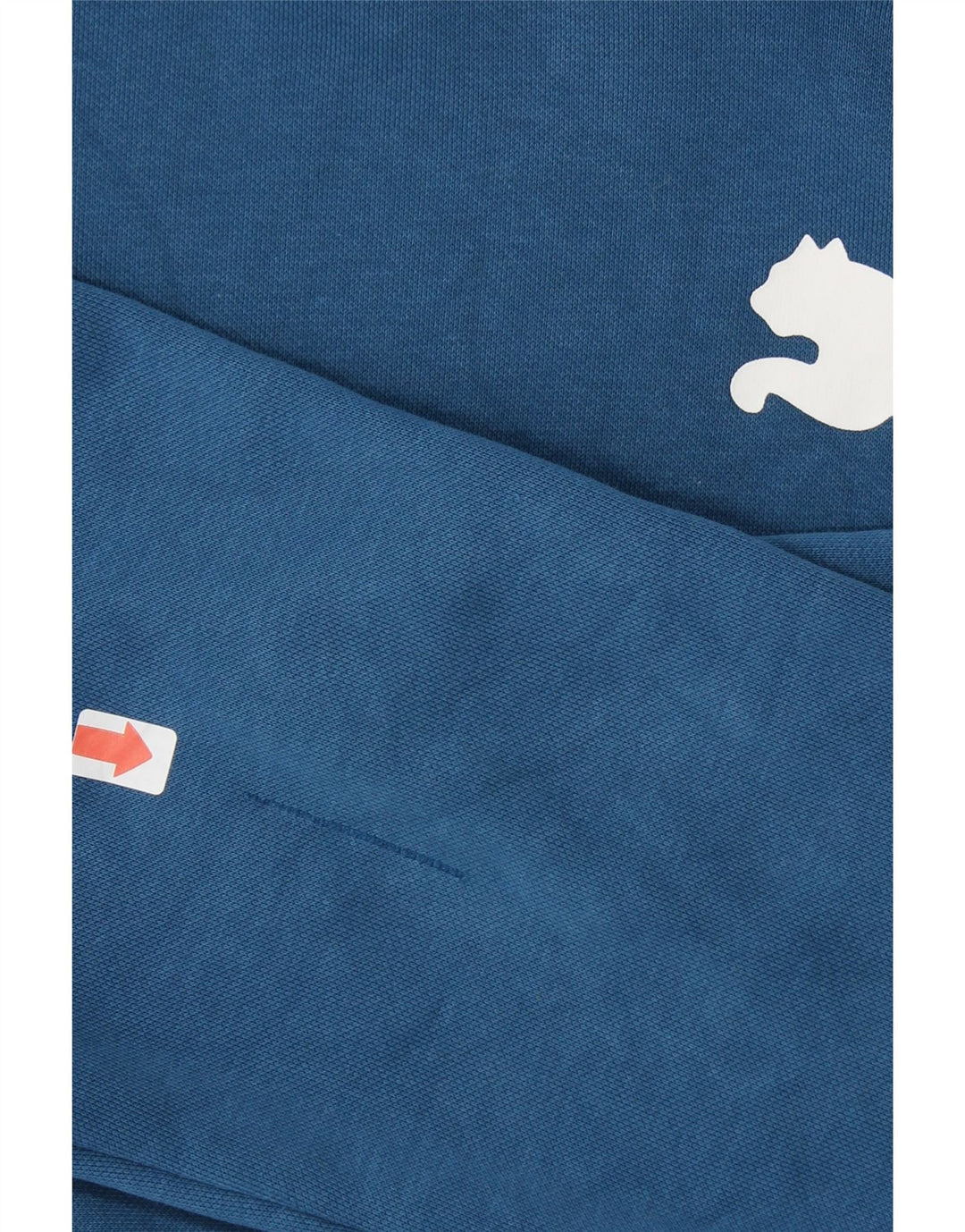 PUMA Mens Graphic Hoodie Jumper Small Blue Vintage Puma and Second-Hand Puma from Messina Hembry 