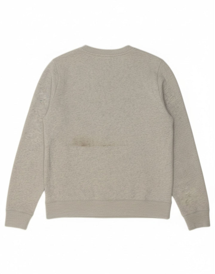 HOLLISTER Mens Graphic Sweatshirt Jumper Medium Grey Cotton