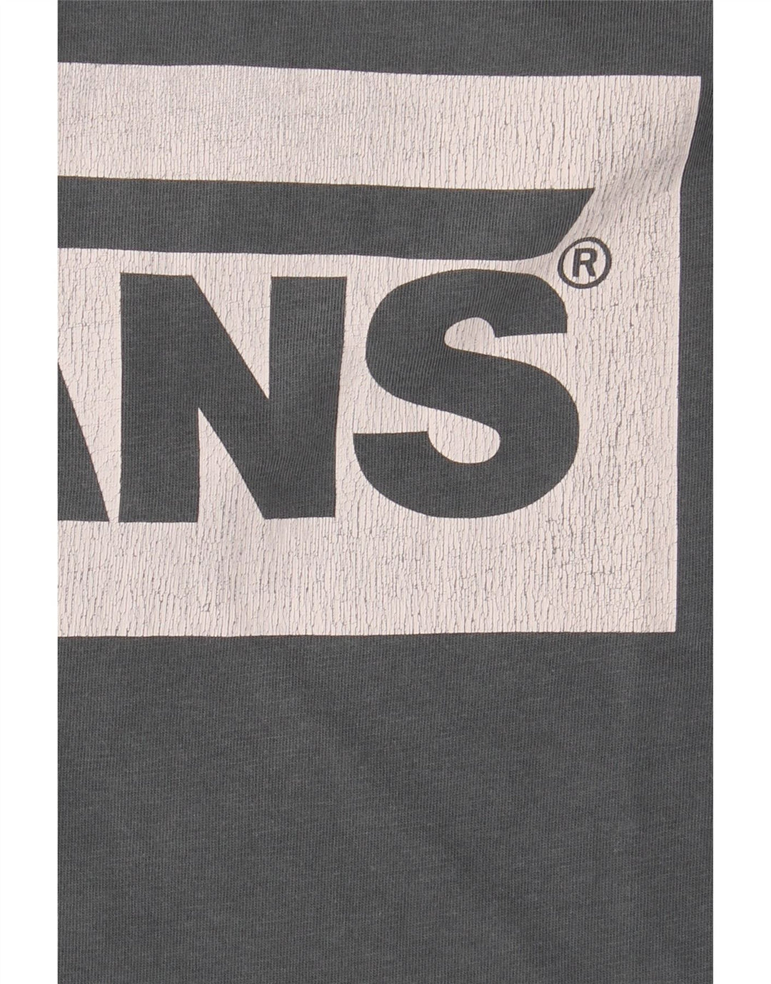 Męski T-shirt Vans Classic Graphic, duży, szary