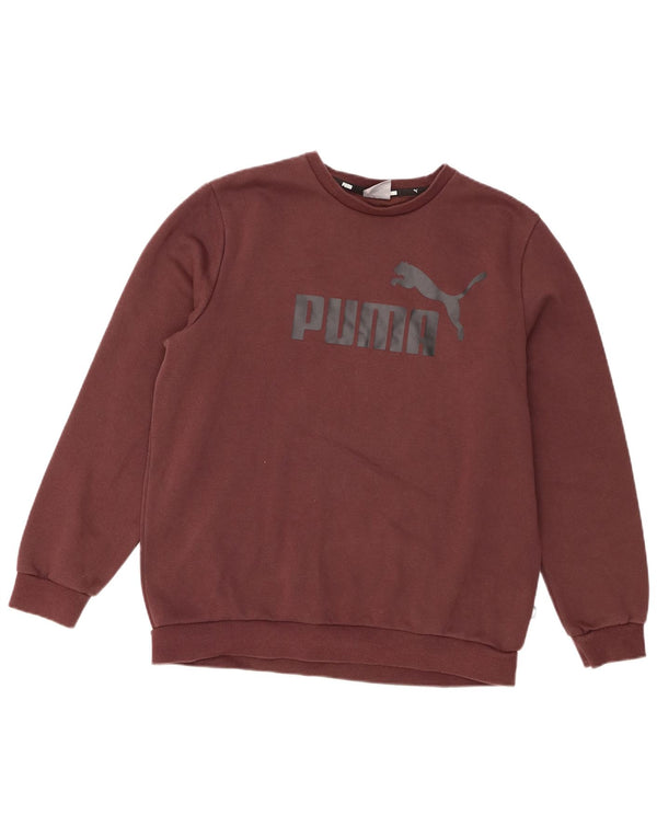Męska bluza z grafiką Puma, średni brąz
