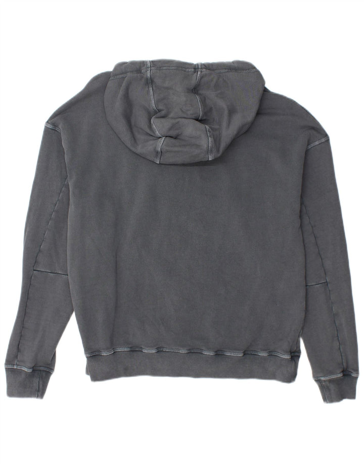 Męski sweter z kapturem BLAUER, mały, szary, bawełniany