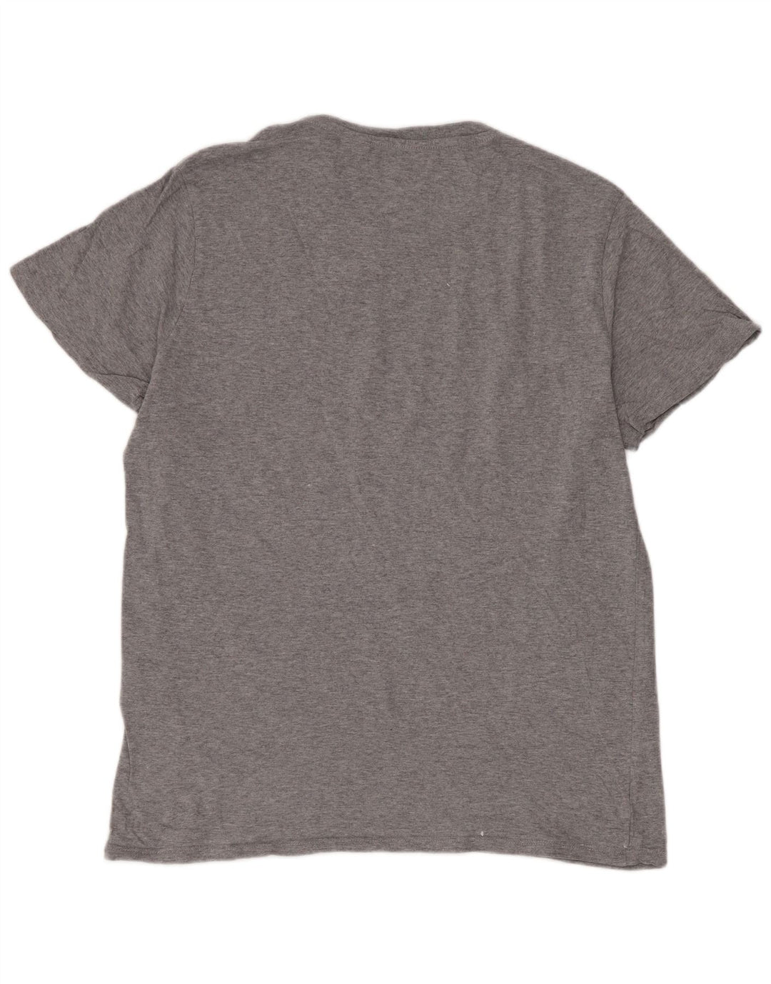 Męski T-shirt z grafiką Levi's, duży, szary, bawełniany w paski