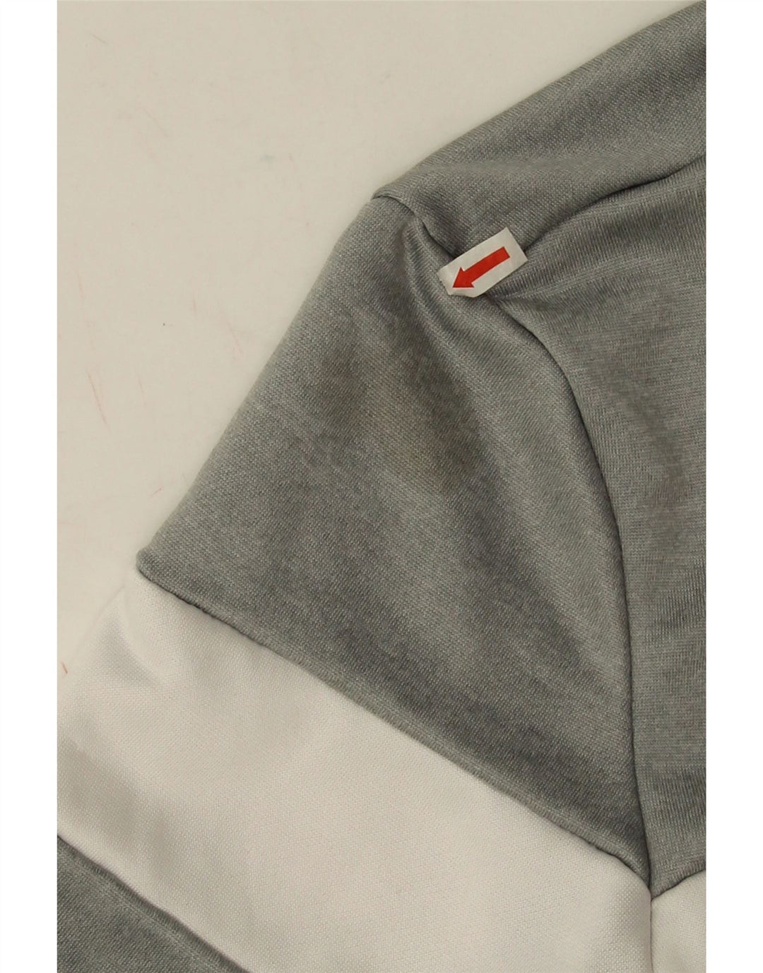 Męska bluza z grafiką Ellesse, mała, szara, z blokami kolorów, poliester