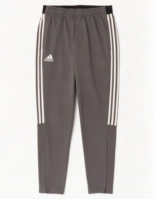 Męskie spodnie dresowe Adidas Climalite UK 44/46, duże, szare, z blokami kolorów