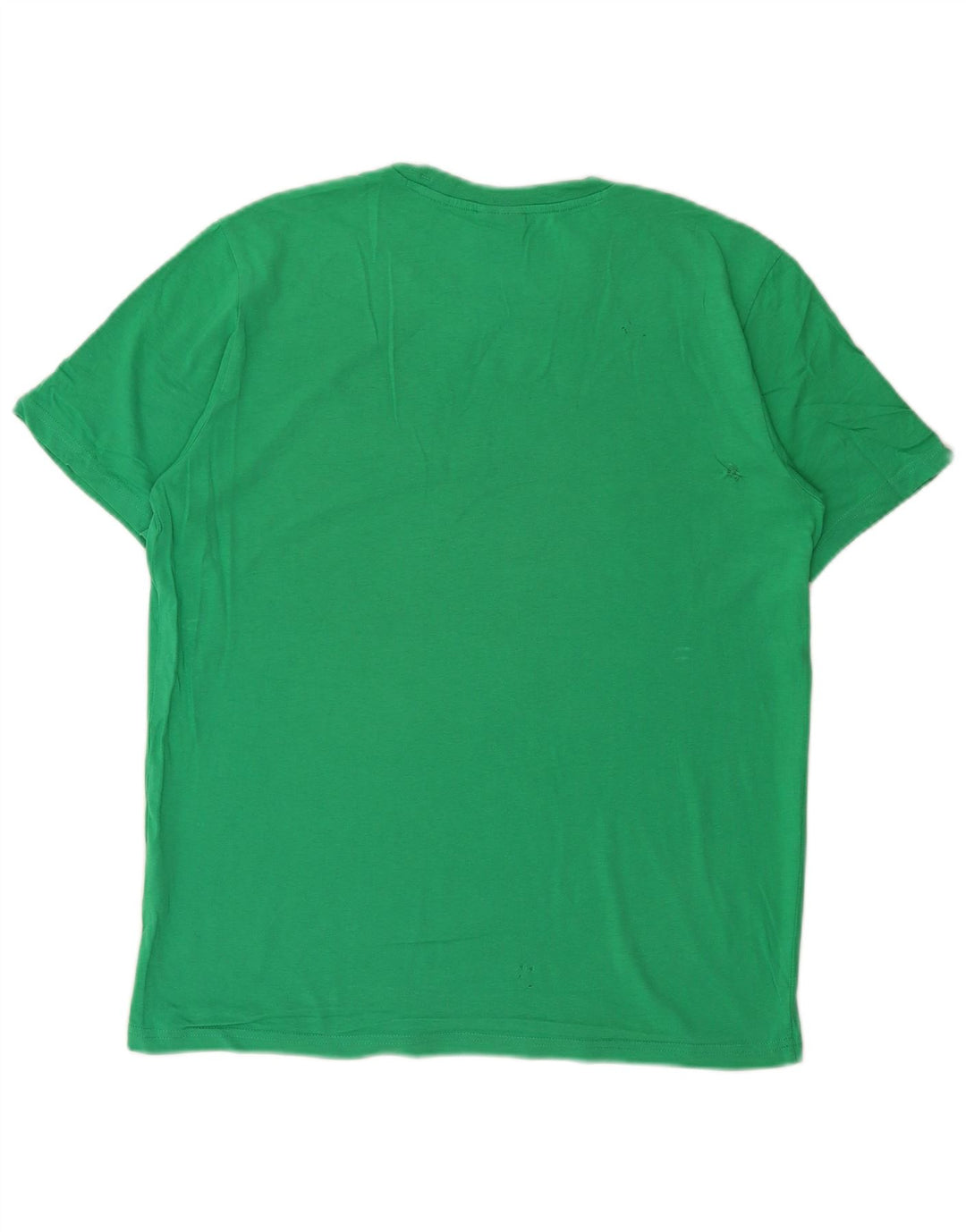 Męska koszulka z grafiką Champion, średnia, zielona bawełna