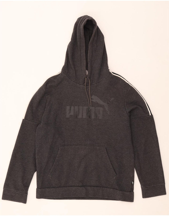 Męski sweter z kapturem Puma z grafiką, średnioszary, bawełniany z blokami kolorów