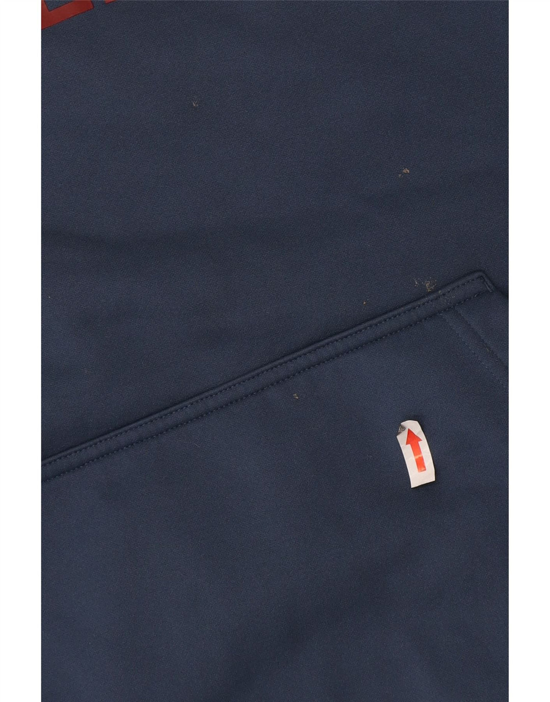 Męski sweter z kapturem The North Face z grafiką, średni niebieski, poliester