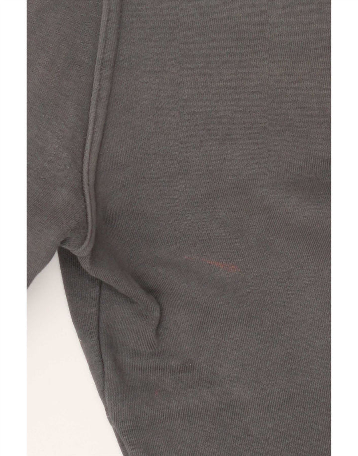 Męskie spodnie dresowe The North Face Joggers, średnioszare, bawełniane