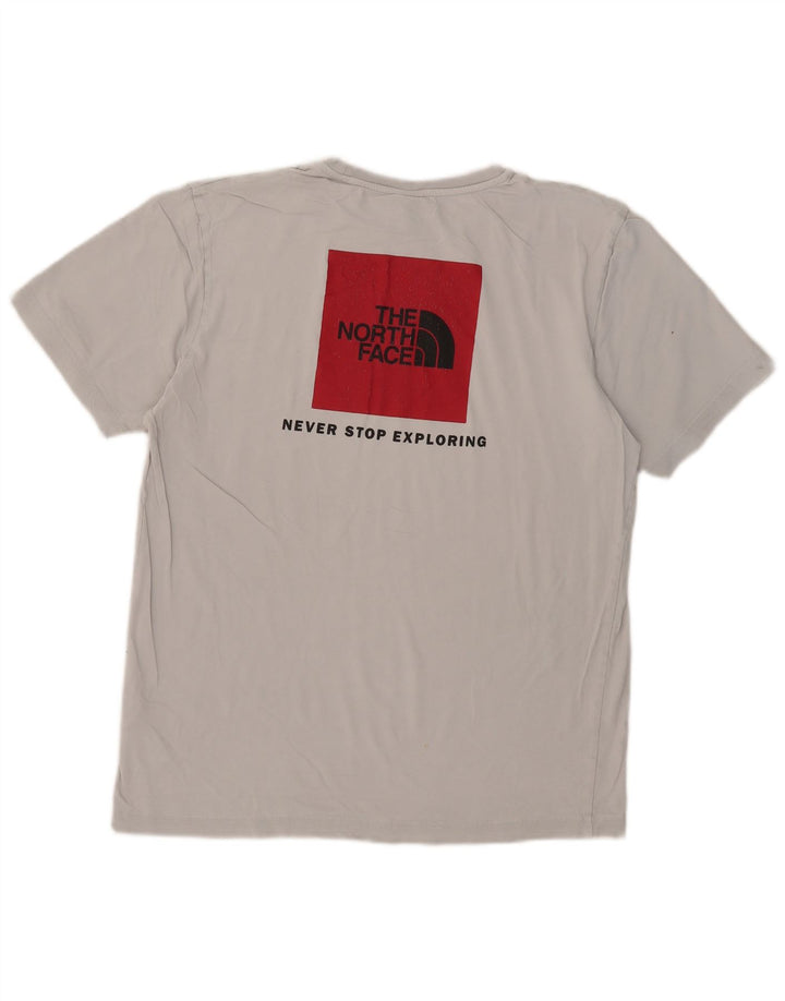 Męski T-shirt z grafiką The North Face, średnioszary, bawełniany