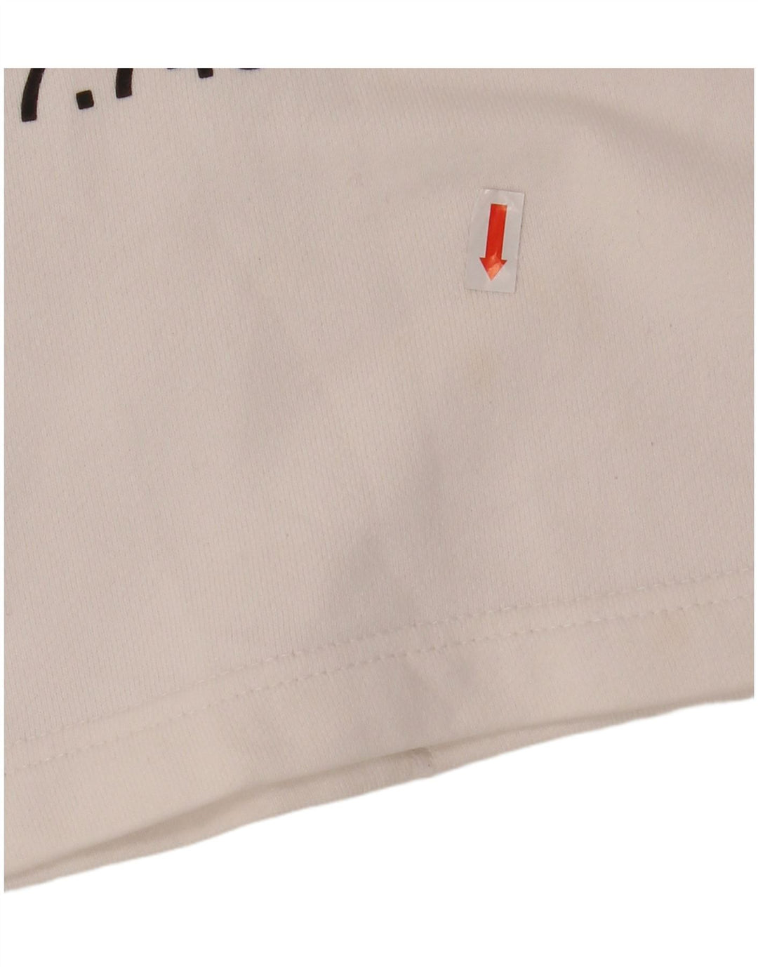 Damski sweter oversize z kapturem i grafiką THE NORTH FACE UK 6 XS w kolorze białym