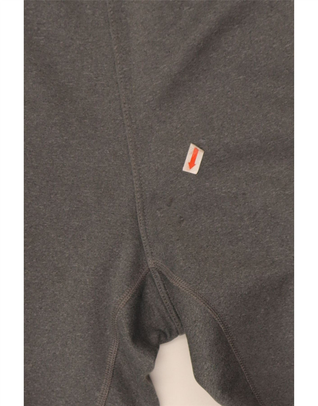 Męskie spodnie dresowe The North Face Joggery w kolorze średnioszarym, z poliestru
