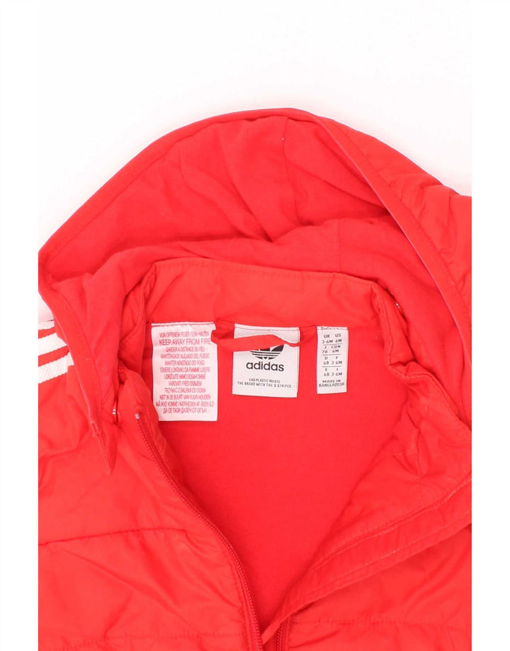 Adidas Baby Boys Wyściełana kurtka z kapturem 3-6 miesięcy Czerwony Poliester