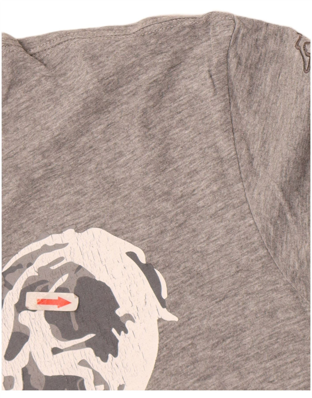 Męski T-shirt z grafiką Kappa, duży, szary