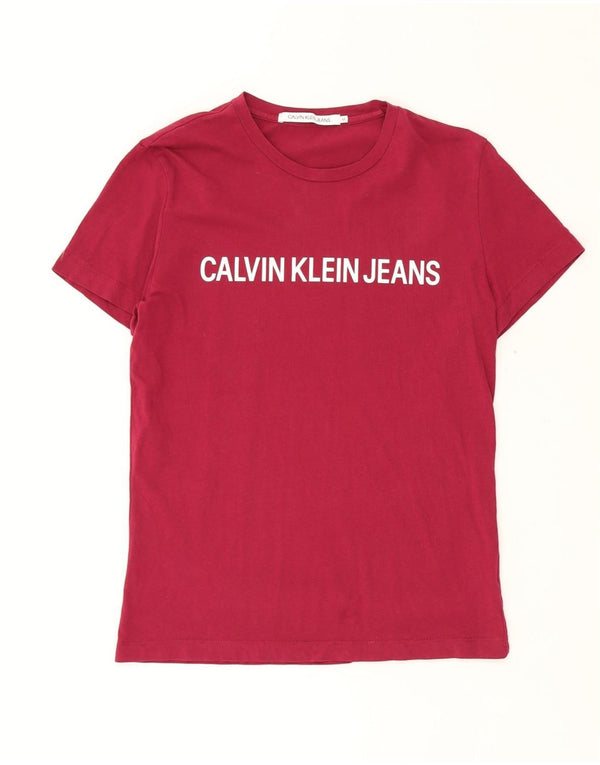 Męski T-shirt z grafiką CALVIN KLEIN JEANS, bawełniany, średni bordowy kolor