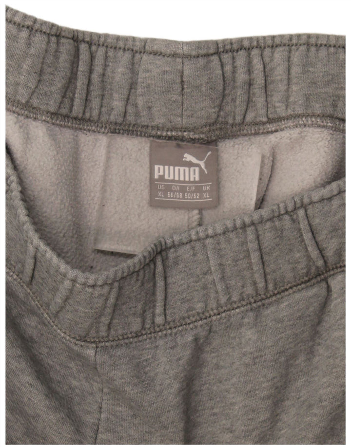 Męskie spodnie dresowe Puma Graphic Joggers XL, szare