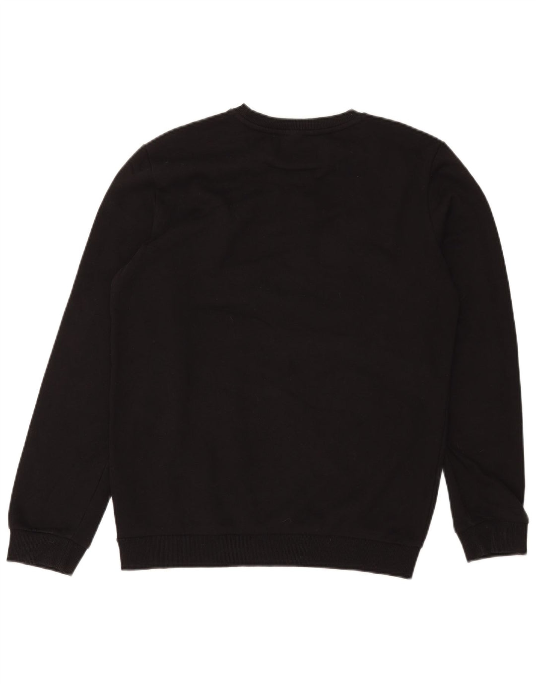 Męska bluza z grafiką Puma, mała, czarna, bawełniana