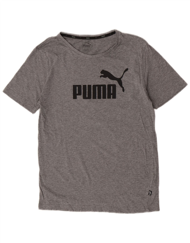 Męska koszulka z grafiką Puma, mała, szara, bawełniana