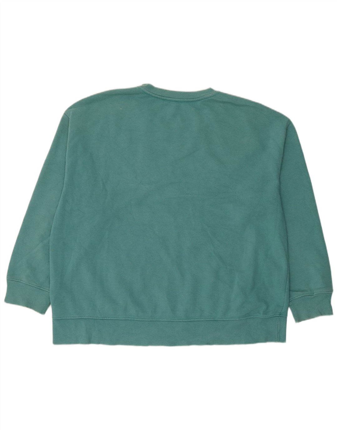 Damska bluza oversize Zara z grafiką, UK 16, duża niebieska bawełna
