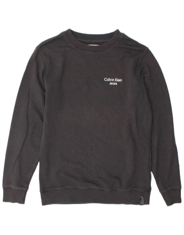 Męska bluza dresowa Calvin Klein Jeans o regularnym kroju, mała, szara, bawełniana