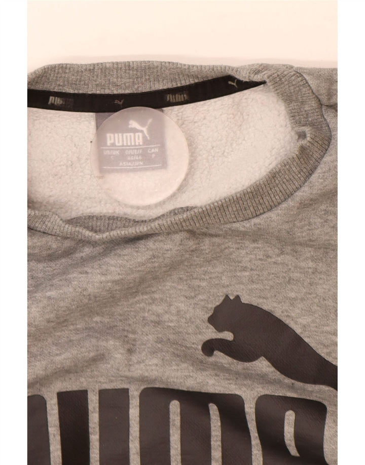 Męska bluza z grafiką Puma, mała, szara, nakrapiana bawełna
