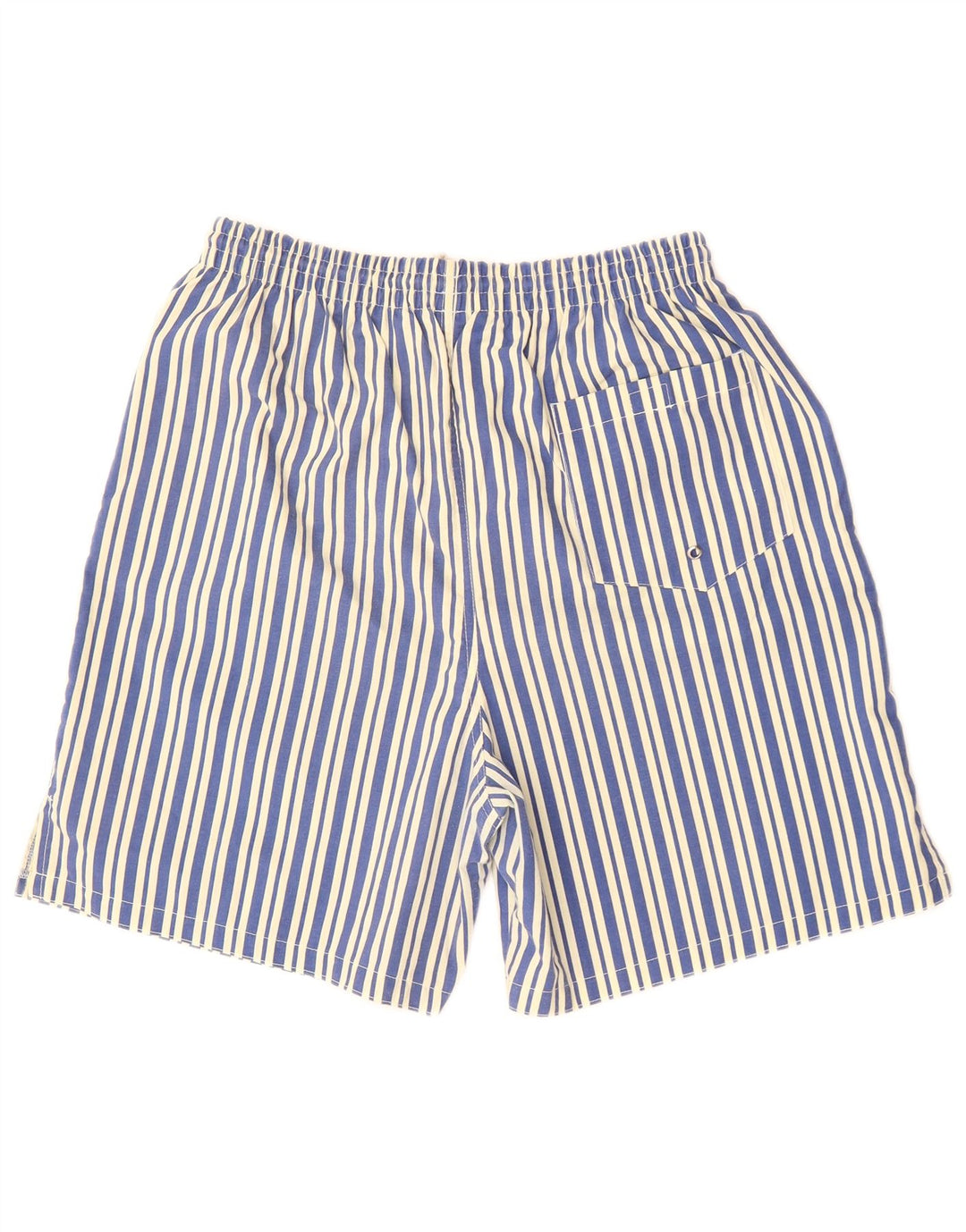 ARENA Mens Swimming Shorts Large Blue Striped Cotton