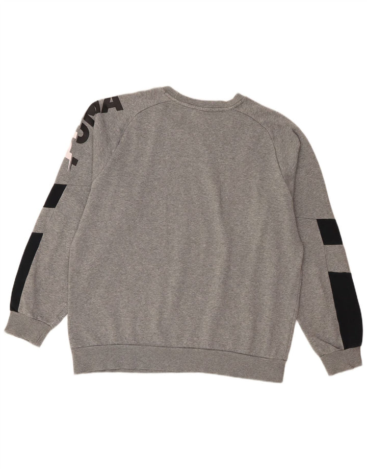 Męska bluza Puma z grafiką, duża, szara, z blokami kolorów