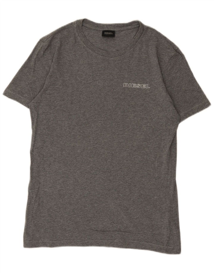T-shirt męski Diesel, mały, szary, bawełniany