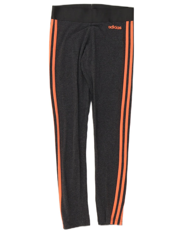 Legginsy damskie Adidas UK 4/6 XS Szara bawełna