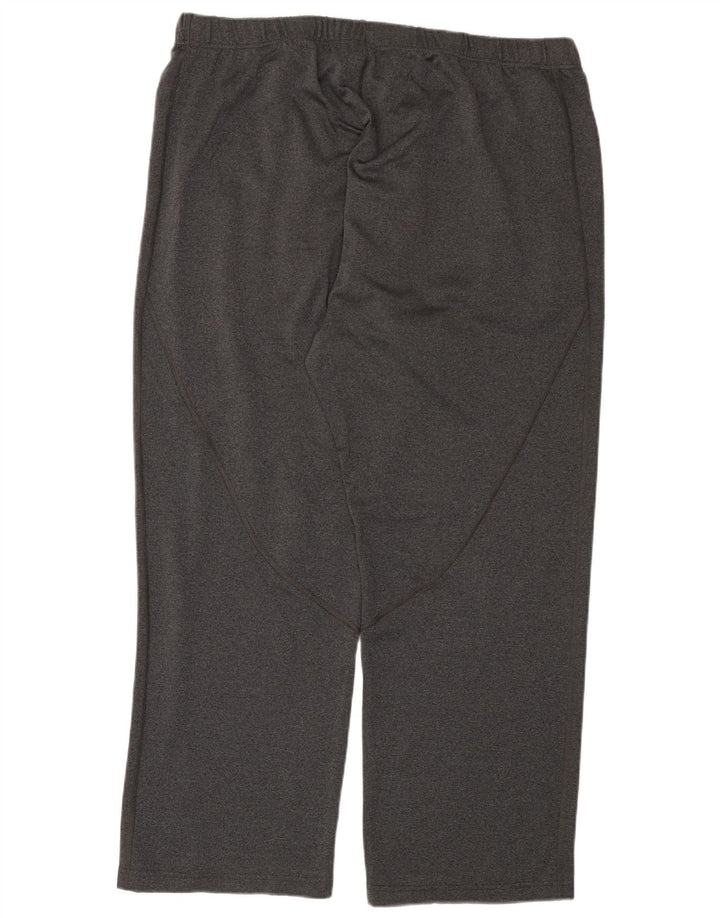 Męskie spodnie dresowe THE NORTH FACE 2XL, szary poliester