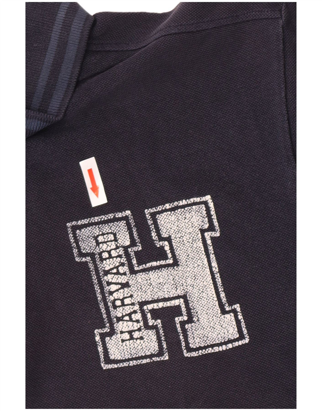 Męska koszulka polo North Sails Harvard Graphic XL w kolorze granatowym