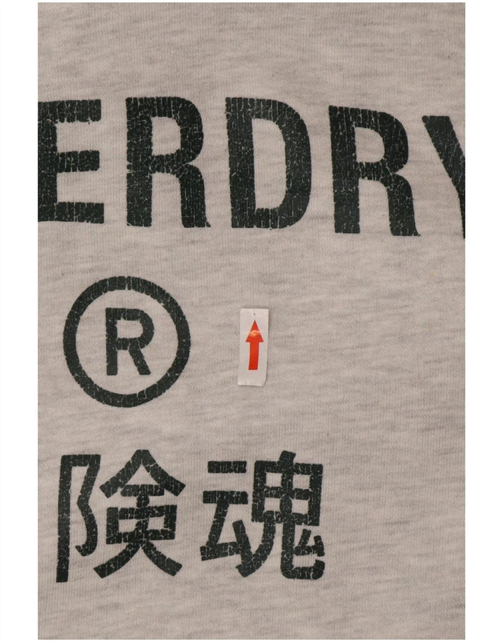 Męski sweter z kapturem Superdry z grafiką, średnioszary, bawełniany