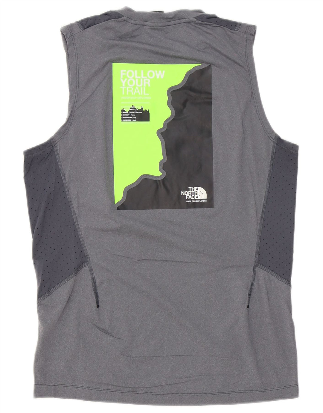 Męska kamizelka z grafiką The North Face, mała, szara, sportowa
