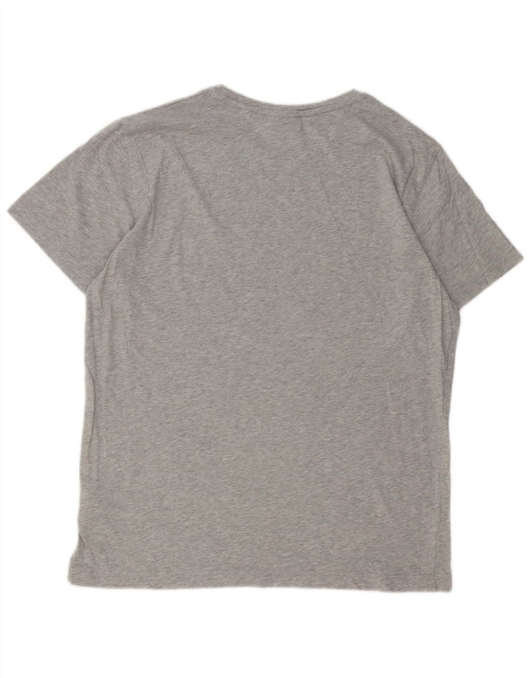 Męski T-shirt z grafiką Gant, duży, szary, bawełniany
