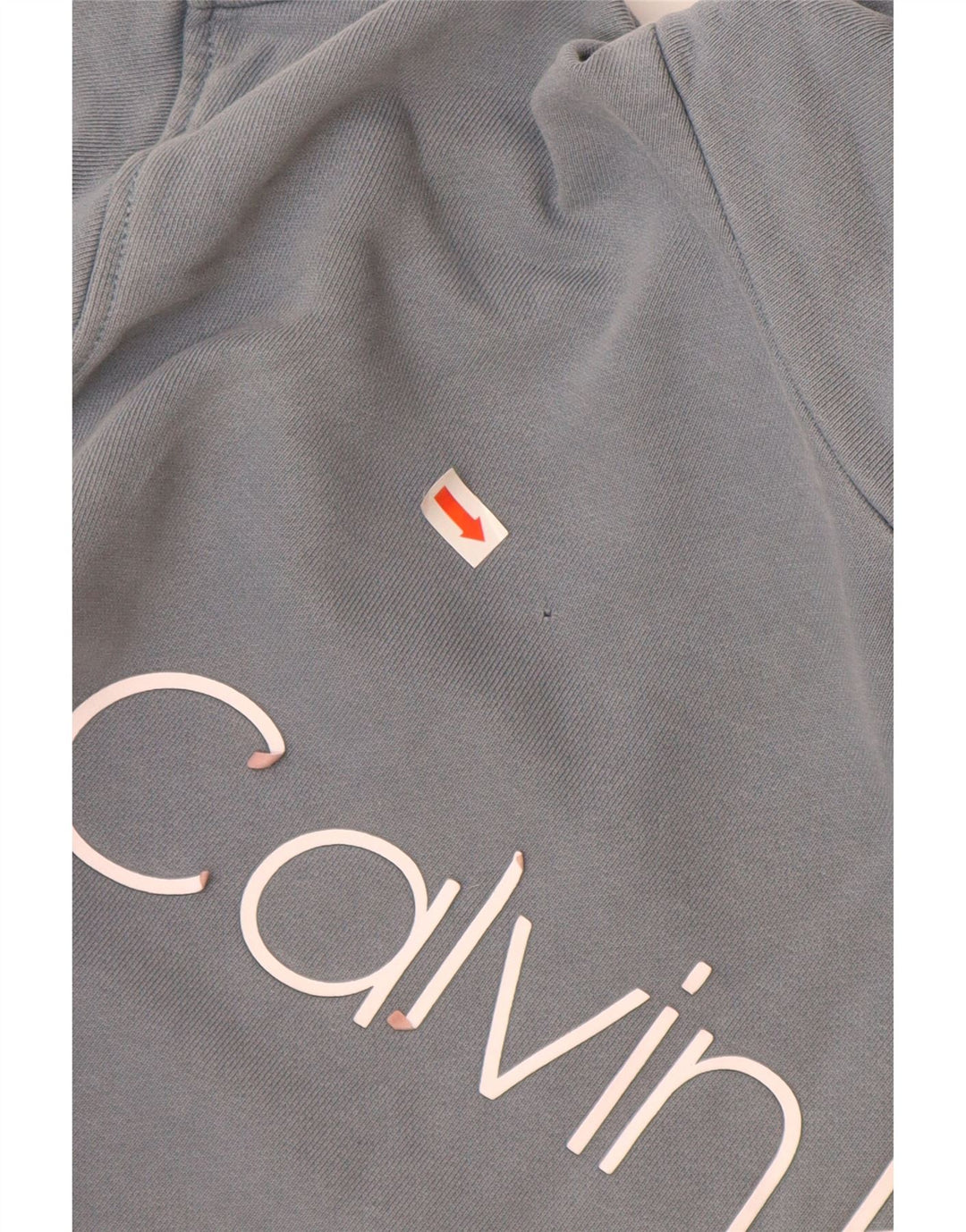 Męski sweter z kapturem i grafiką CALVIN KLEIN, mały, niebieski