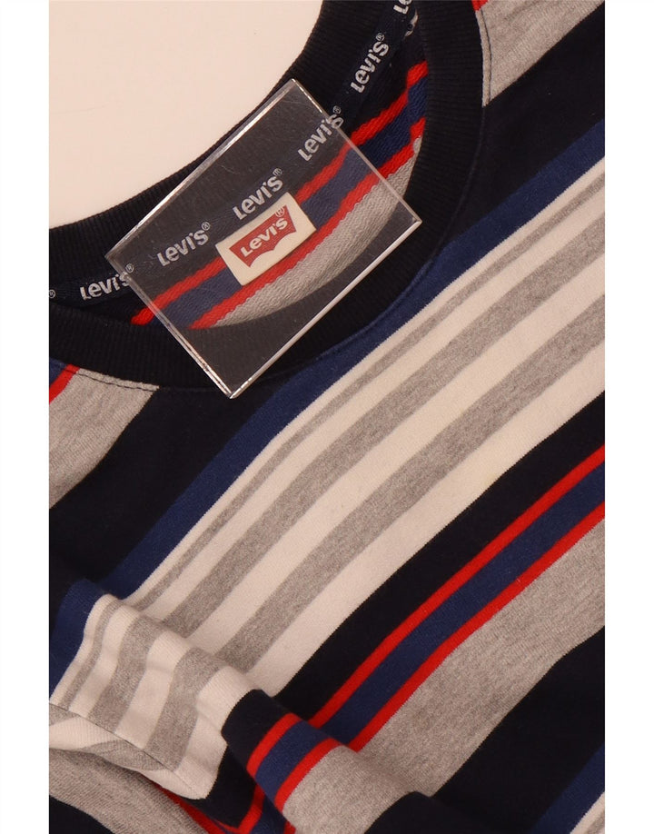 Męska bluza Levi's Sweter w małe, wielokolorowe paski