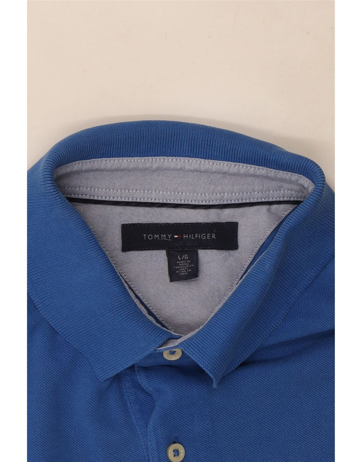 Męska koszulka polo Tommy Hilfiger, duża, niebieska, bawełniana