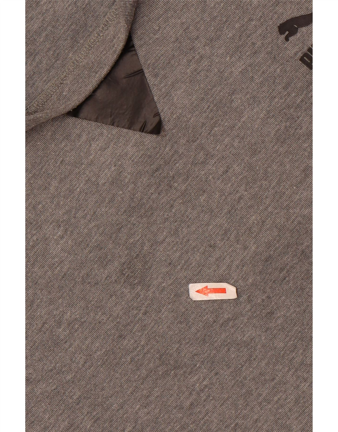 Męska bluza z grafiką Puma XL, szara bawełna