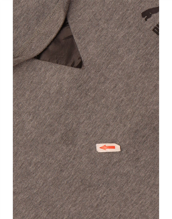 Męska bluza z grafiką Puma XL, szara bawełna