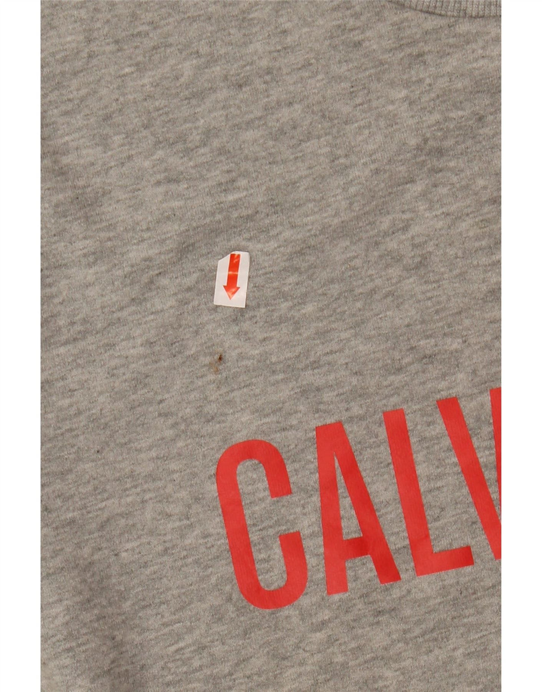 Męski sweter z grafiką CALVIN KLEIN, średnioszary