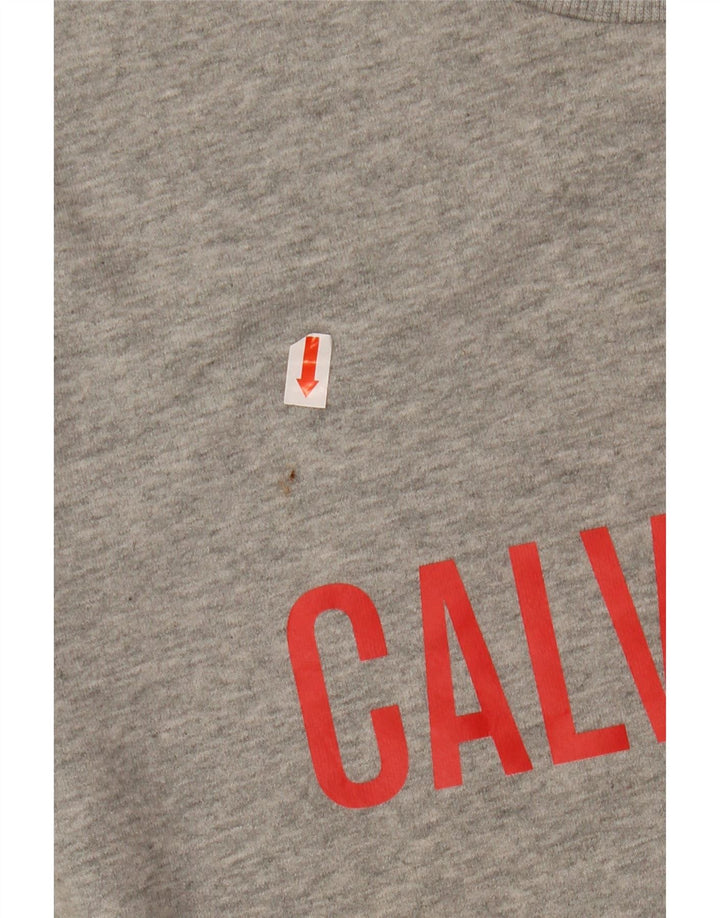 Męski sweter z grafiką CALVIN KLEIN, średnioszary